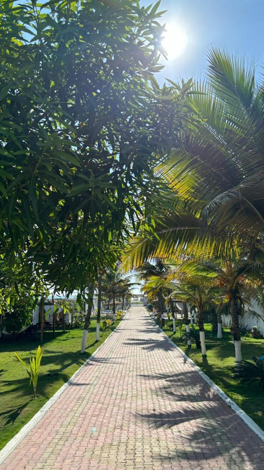 Hotel La Mar Playas Luaran gambar